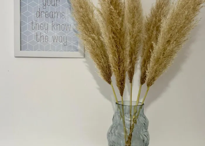 Sunny Oak Estate 公寓 *